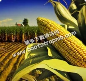深耕製造業，成就卓越品質 - 亚星官网kaihangyi